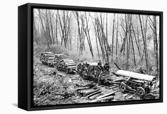 Shingle Bolt-Clark Kinsey-Framed Stretched Canvas