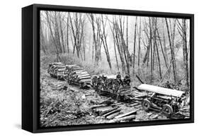 Shingle Bolt-Clark Kinsey-Framed Stretched Canvas