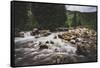 Shingle Creek, Uinta Mountains, Utah-Louis Arevalo-Framed Stretched Canvas