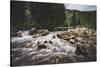 Shingle Creek, Uinta Mountains, Utah-Louis Arevalo-Stretched Canvas