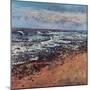 Shingle Shoreline, 2021 (oil on canvas)-Sylvia Paul-Mounted Giclee Print