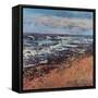 Shingle Shoreline, 2021 (oil on canvas)-Sylvia Paul-Framed Stretched Canvas