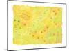 Shining Flower Garden on Yellow Japanese Paper-Miyuki Hasekura-Mounted Giclee Print