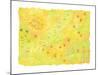 Shining Flower Garden on Yellow Japanese Paper-Miyuki Hasekura-Mounted Giclee Print