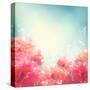 Shining Flowers Roses (Peonies) Background-kostins-Stretched Canvas