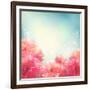 Shining Flowers Roses (Peonies) Background-kostins-Framed Art Print