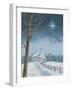 Shining Holiday Star-James Redding-Framed Art Print