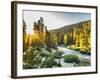 Shining Light In Sequoia National Park-Daniel Kuras-Framed Photographic Print