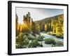 Shining Light In Sequoia National Park-Daniel Kuras-Framed Photographic Print