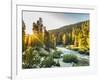 Shining Light In Sequoia National Park-Daniel Kuras-Framed Photographic Print