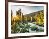 Shining Light In Sequoia National Park-Daniel Kuras-Framed Photographic Print