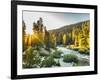 Shining Light In Sequoia National Park-Daniel Kuras-Framed Photographic Print