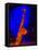 Shining Saxophone Backstage, Bethlehem, Pennsylvania, United States-David H. Wells-Framed Stretched Canvas