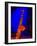 Shining Saxophone Backstage, Bethlehem, Pennsylvania, United States-David H. Wells-Framed Photographic Print