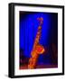 Shining Saxophone Backstage, Bethlehem, Pennsylvania, United States-David H. Wells-Framed Photographic Print