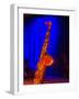 Shining Saxophone Backstage, Bethlehem, Pennsylvania, United States-David H. Wells-Framed Photographic Print