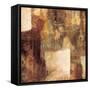 Shining Through I-Aimee Davidson-Framed Stretched Canvas