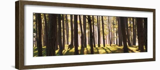 Shining Through-Nhiem Hoang The-Framed Giclee Print