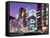 Shinjuku-Dori, Shinjuku, Tokyo, Honshu, Japan-null-Framed Stretched Canvas