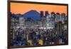 Shinjuku skyline with Mt. Fuji in the background, Tokyo, Japan-Jan Christopher Becke-Framed Premium Photographic Print