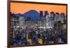 Shinjuku skyline with Mt. Fuji in the background, Tokyo, Japan-Jan Christopher Becke-Framed Premium Photographic Print