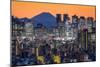 Shinjuku skyline with Mt. Fuji in the background, Tokyo, Japan-Jan Christopher Becke-Mounted Photographic Print