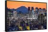 Shinjuku skyline with Mt. Fuji in the background, Tokyo, Japan-Jan Christopher Becke-Framed Stretched Canvas