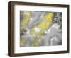 Shinning Tones 1-Marcus Prime-Framed Art Print