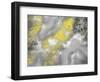 Shinning Tones 1-Marcus Prime-Framed Art Print