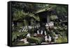 Shinto shrine in the Kamakura hills, Honshu, Japan, Asia-David Pickford-Framed Stretched Canvas