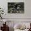 Shinto shrine in the Kamakura hills, Honshu, Japan, Asia-David Pickford-Photographic Print displayed on a wall