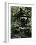 Shinto Shrine, Japan-null-Framed Photographic Print