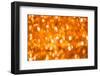 Shiny Christmas Bokeh Background-nikkytok-Framed Photographic Print