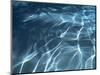 Shiny Light Strings in Blue Water-null-Mounted Photographic Print