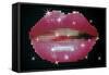 Shiny Lips On Screen-Blink Blink-Framed Stretched Canvas