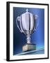 Shiny Trophy-Matthias Kulka-Framed Giclee Print