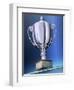 Shiny Trophy-Matthias Kulka-Framed Giclee Print
