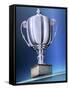 Shiny Trophy-Matthias Kulka-Framed Stretched Canvas