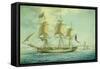 Ship Alfred of Salem, 1806-Nicolas Cammillieri-Framed Stretched Canvas