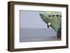 Ship bug in the Außenweser, car transporters ship, Bremerhaven, Bremen, Germany-Torsten Krüger-Framed Photographic Print