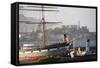 Ship in front of Alcatraz, Fishermans Wharf, San Francisco, California-Anna Miller-Framed Stretched Canvas