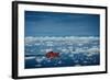 Ship in Ilulissat Icefjord, UNESCO World Heritage Greenland-Romantravel-Framed Photographic Print