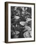 Ship Propellors, Bethlehem Steel-Andreas Feininger-Framed Photographic Print