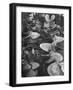 Ship Propellors, Bethlehem Steel-Andreas Feininger-Framed Photographic Print