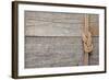 Ship Rope Knot on Old Wooden Texture Background-karandaev-Framed Photographic Print