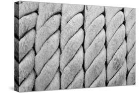 Ship Ropes Sack As Black And White Color-surawutob-Stretched Canvas