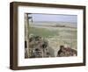 Ship's Graveyard Near Aralsk, on Seabed Due to Water Losses, Aral Sea, Kazakhstan, Central Asia-Anthony Waltham-Framed Photographic Print