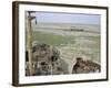 Ship's Graveyard Near Aralsk, on Seabed Due to Water Losses, Aral Sea, Kazakhstan, Central Asia-Anthony Waltham-Framed Photographic Print