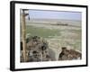 Ship's Graveyard Near Aralsk, on Seabed Due to Water Losses, Aral Sea, Kazakhstan, Central Asia-Anthony Waltham-Framed Photographic Print