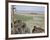 Ship's Graveyard Near Aralsk, on Seabed Due to Water Losses, Aral Sea, Kazakhstan, Central Asia-Anthony Waltham-Framed Photographic Print